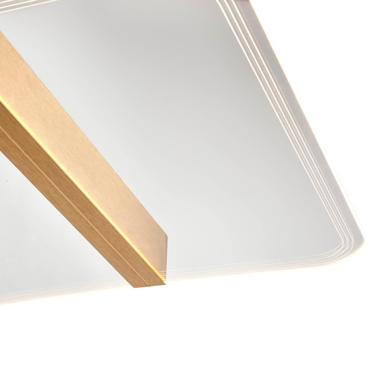 Vele Luce Futuro Потолочный светильник VL7224L21 — миниатюра 4