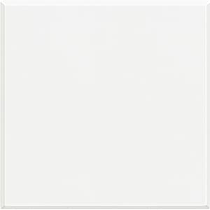 BT Axolute White Заглушка 2 мод HD4951