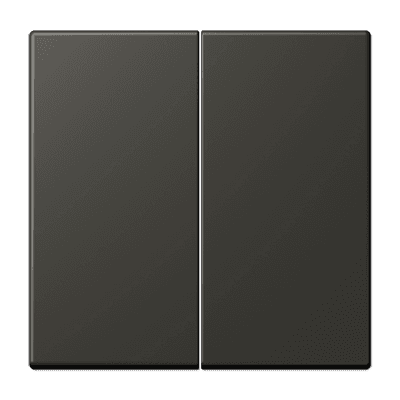 JUNG LS 990 Ombre naturelle 59(4320R) Клавиша 2-ая LC9954320R