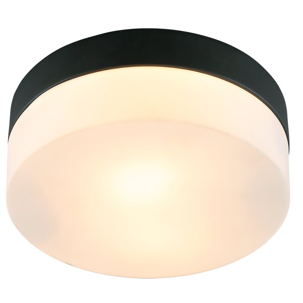 Arte Lamp AQUA-TABLET Светильник потолочный лампа накаливания A6047PL-1BK