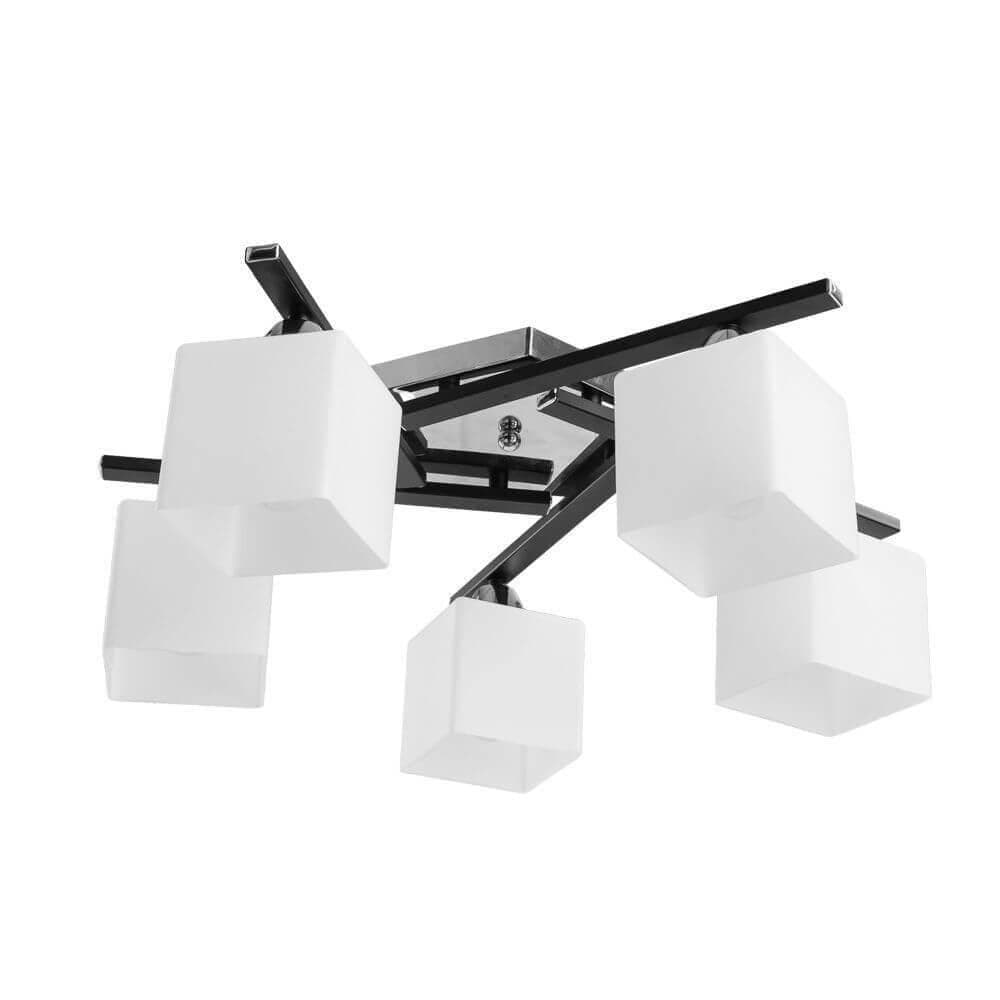 Arte Lamp Visuale Черный/Белый Светильник потолочный 5x60W 5xE27 A8165PL-5BK