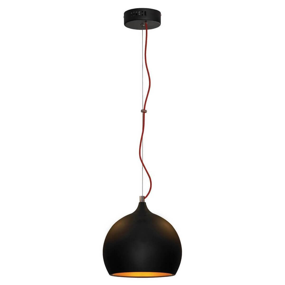 Lussole LOFT Металл Черный /  Металл Подвес E27 60W LSN-6116-01 — миниатюра 1