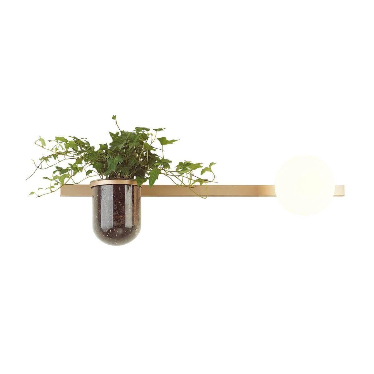 Odeon Light 4682/1WA ODL20 625 золото/белый Настенный светильник E14 1*40W 220V FLOWER — миниатюра 1