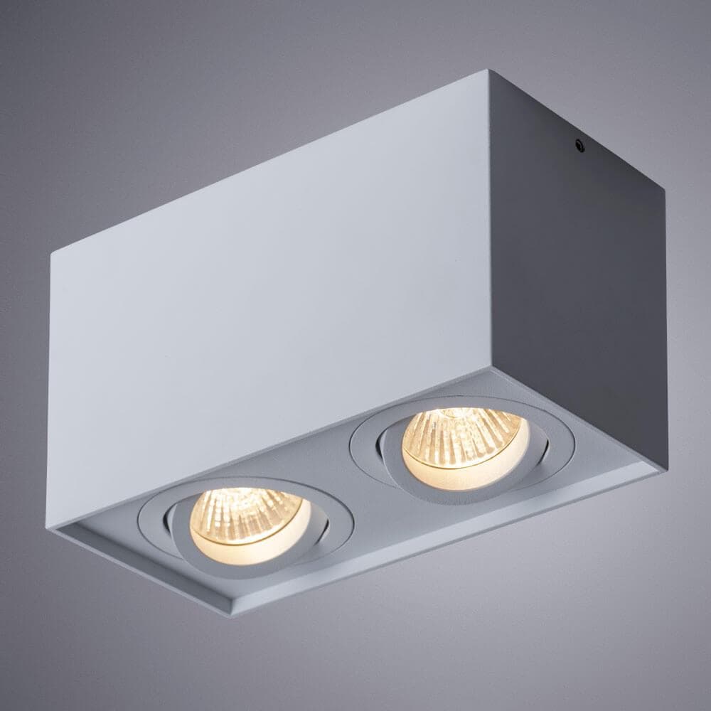 Arte Lamp FACTOR Потолочные светильники A5544PL-2WH — миниатюра 3