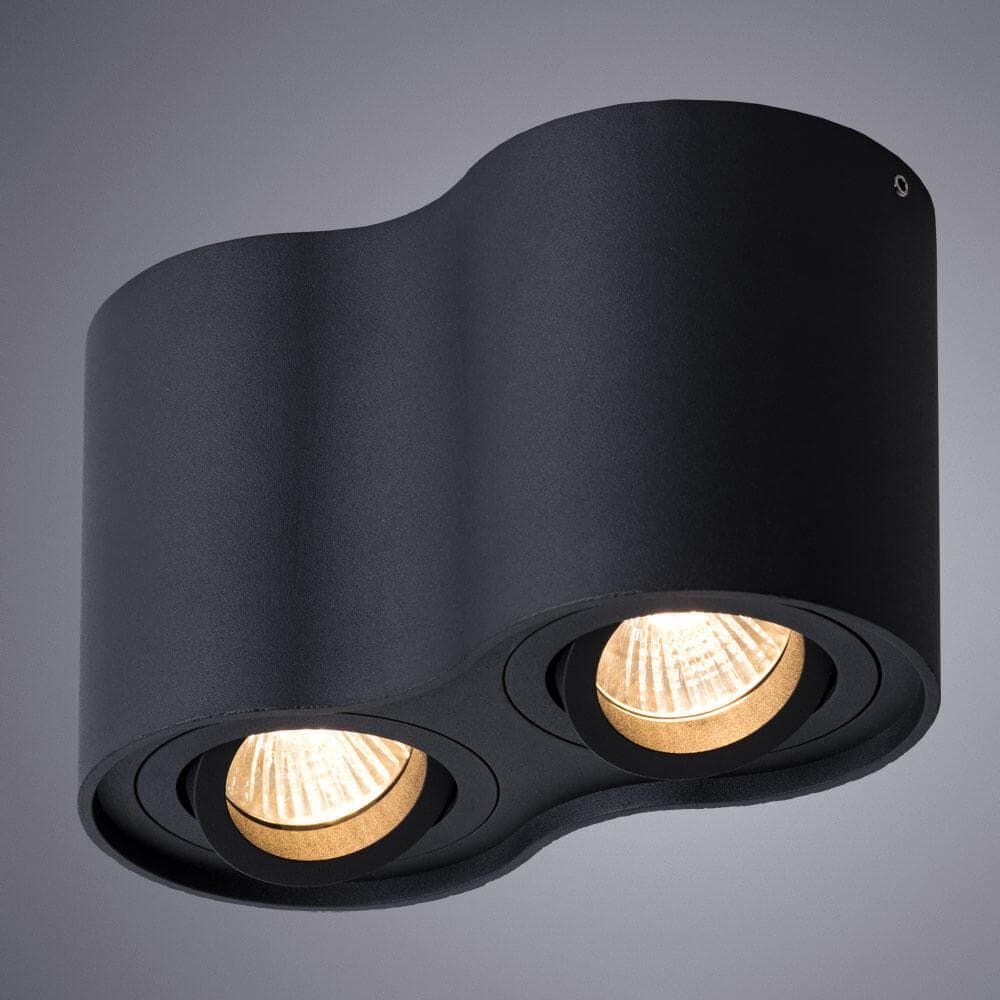 Arte Lamp A5645PL-2BK Светильник потолочный Falcon — миниатюра 2