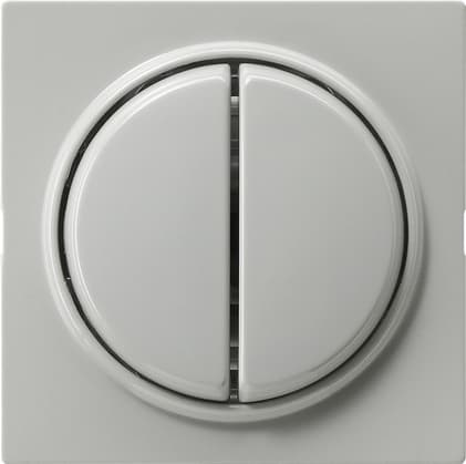 Gira Клавиша двойная 029542