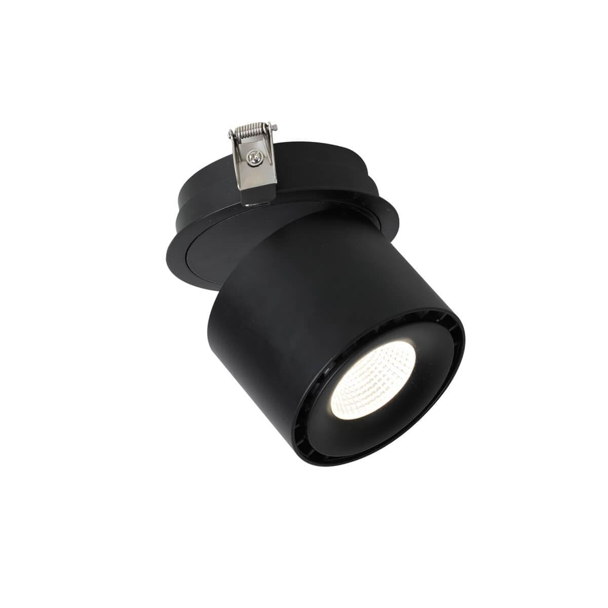 Favourite Ledel Светильник врезной металл черного цвета, угол наклона регулируется LED brand CREE, COB LED*20W, Ra>80, beam angle:24° degree, 4000K 1989-1U — миниатюра 2
