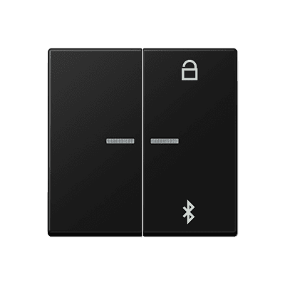 JUNG A Flow/A 550 Черный матовый Таймер универсальный Bluetooth A1751BFBTSWM