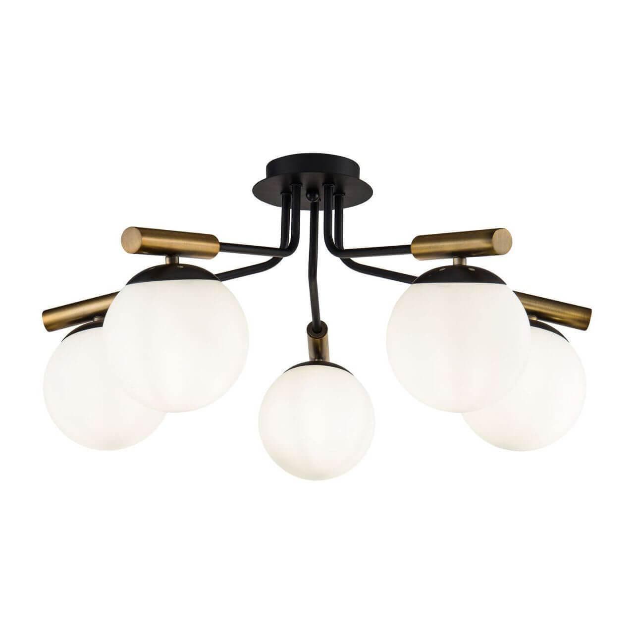 Freya Modern Paolina Черный Потолочный светильник E14 40W FR5011CL-05B