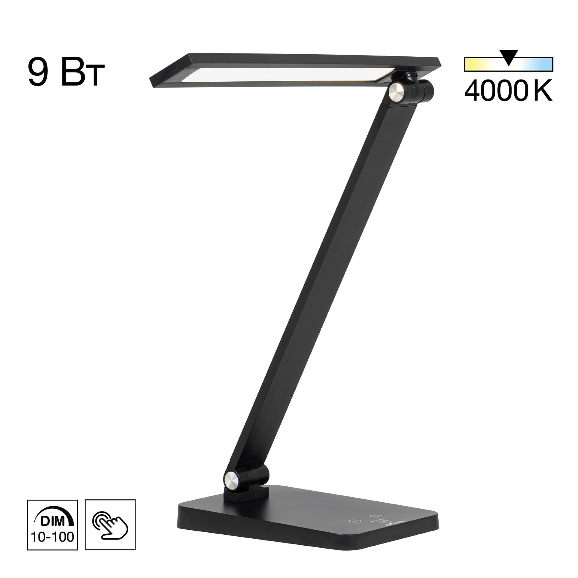 Citilux CL803081 Ньютон Черный, с USB