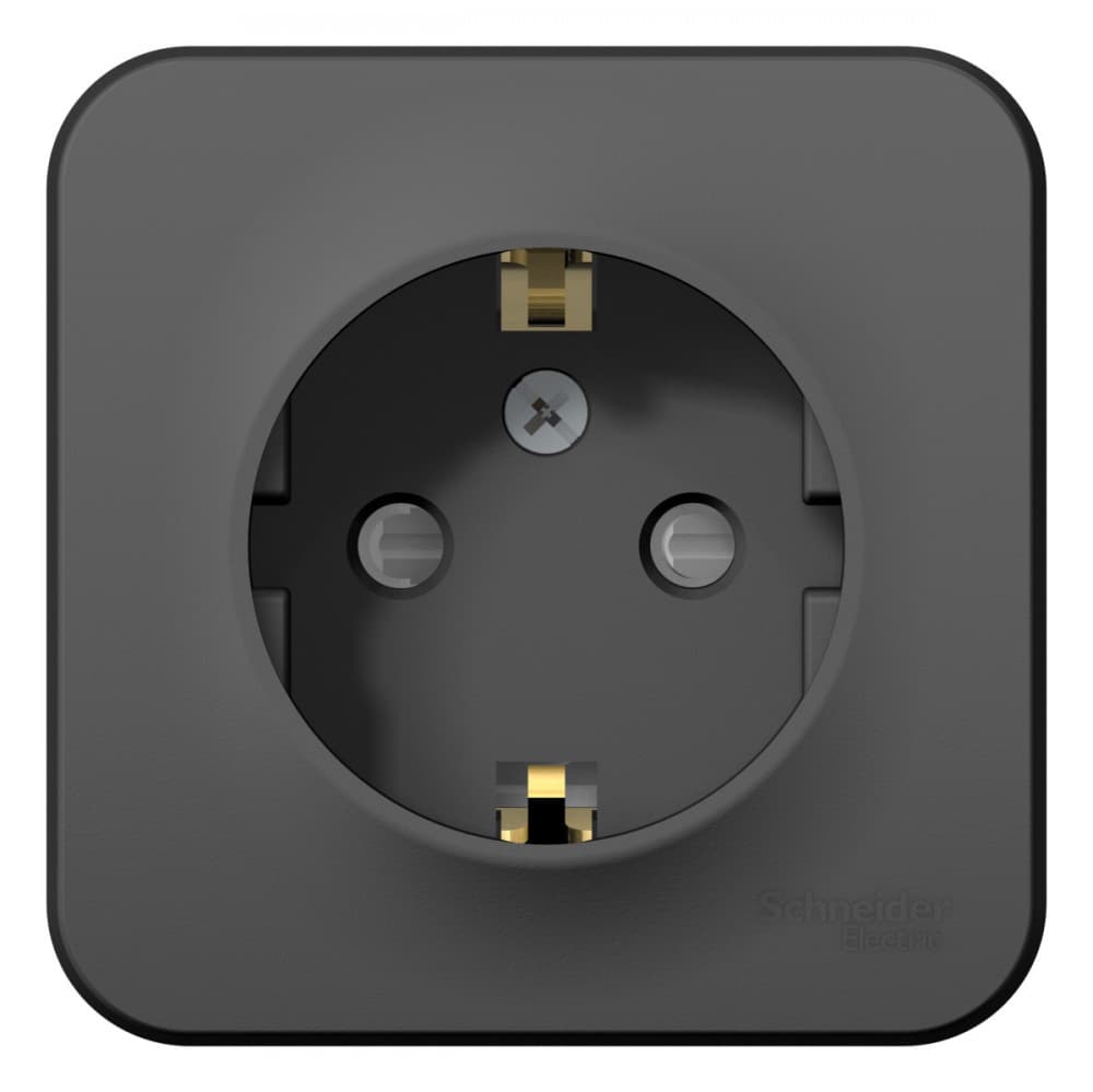 Systeme Electric Blanca наруж Антрацит Розетка с/з со шторками 16А, 250В, изолир. пластина