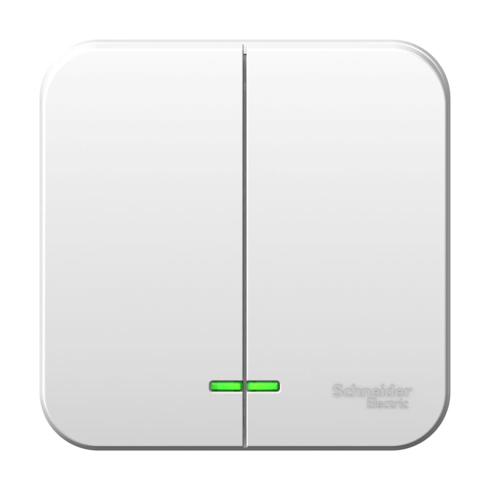 Systeme Electric Blanca наруж Бел Выключатель 2-клавишный с подсветкой 6А, 250B, монтажная пластина