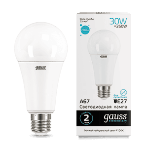Gauss Лампа Elementary A67 30W 2360lm 4100K E27 LED 73229
