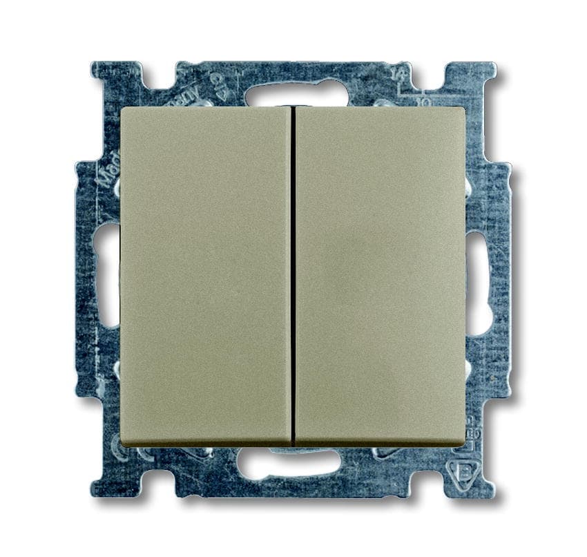 ABB BJB Basic 55 Шамп Выключатель 2-х клавишный 2CKA001012A2167