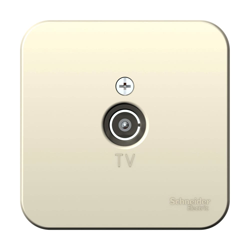Systeme Electric Blanca наруж Молочная Розетка TV, изолир. пластина