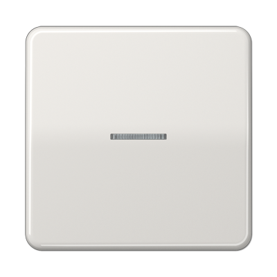 JUNG Клавиша для KNX кнопки, 1 группа с окошком дюропласт светло-серый CD101KO5LG