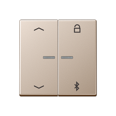 JUNG Таймер универсальный Bluetooth «стрелки», шампань A1751PBTCH