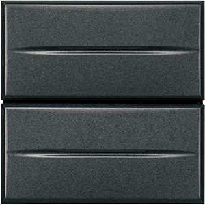 BT Axolute Антрацит Axial Выключатель кнопочный 10А (2 NO контакта), 2 мод HS4036/2