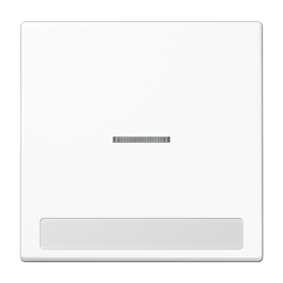 JUNG Клавиша для  выключателя с окошком для подсветки и полем для надписи белая LS990NAKO5WW