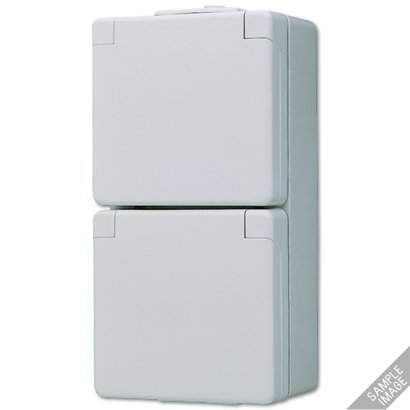 JUNG WG 800 Розетка 2-ая с/з с полем для надписи, IP44 622WW