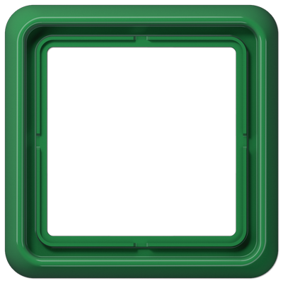 JUNG CD 500 Зеленая Рамка 1-ая CD581GN