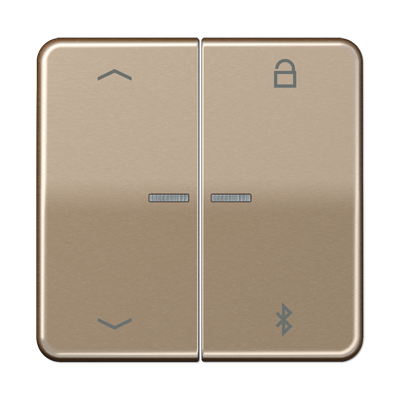 JUNG Таймер универсальный Bluetooth «стрелки», золотая бронза CD1751PBTGB