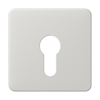 JUNG центральная плата для вставки с ключом, светло-серый CD525LG