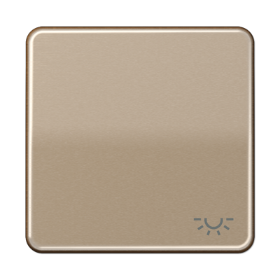JUNG CD 500/CD plus Бронза Клавиша 1-ая с символом ОСВЕЩЕНИЕ CD590LGB