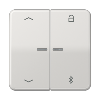 JUNG Таймер универсальный Bluetooth «стрелки», светло-серый CD1751PBTLG