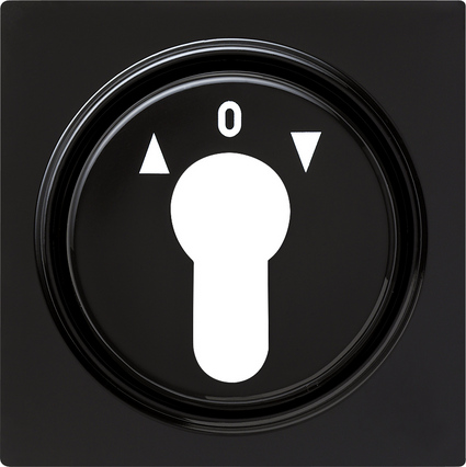 Gira Накладка выключателя с ключом 066447