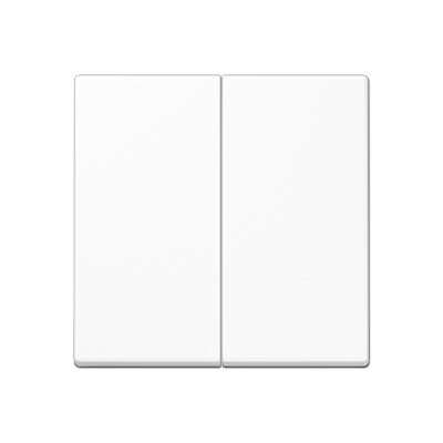 JUNG Центральная плата 2 группы стандарт термопласт белый A1702BFWW