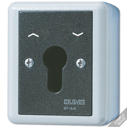 JUNG Выключатель для замочного механизма универсальный IP44 806.28G