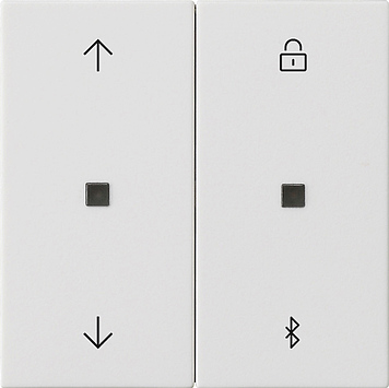 Gira Накладка управления жалюзи  с BT System 3000 536727