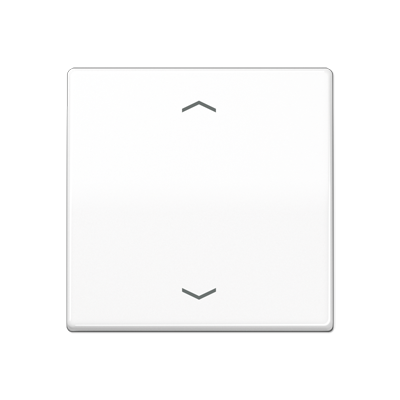 JUNG Центральная плата для вставок управления двигателями, белая AS1700PWW