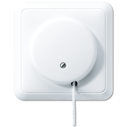 JUNG выключатель со шнурком 5506ZUWW