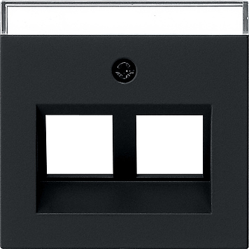 Gira Накладка с полем надп Mod. Jack 30° 2640005