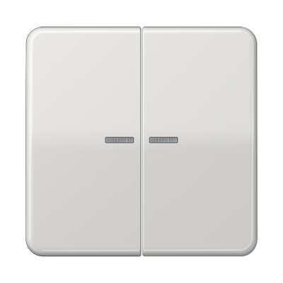JUNG Клавиша для KNX кнопки, 2 группы с окошком дюропласт светло-серый CD102KO5LG