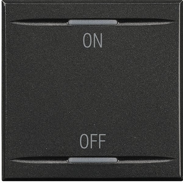 Купить BT Axolute Антрацит Клавиши с символами для системы автоматизации для 2 функций 2 модуля, ON-OFF HS4911/2AG