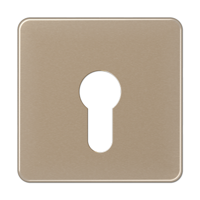 JUNG центральная плата для вставки с ключом, золотая бронза CD525GB