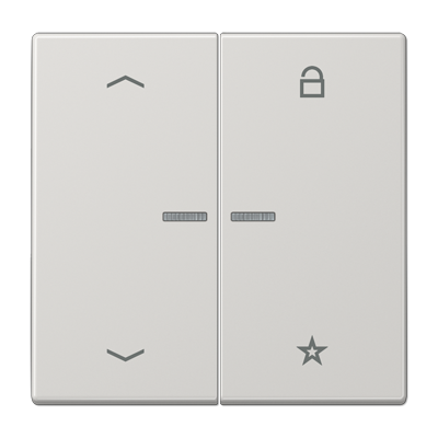 JUNG Центральная плата для вставок управления двигателями, светло-серый LS1701PLG