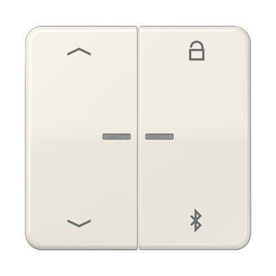 JUNG Таймер универсальный Bluetooth «стрелки», слоновая кость CD1751PBT