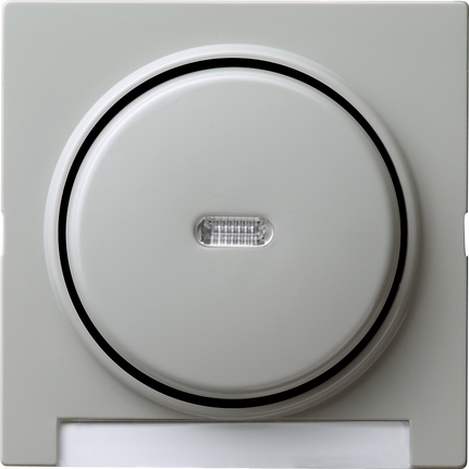 Gira Одинарная клавиша с полем для надписи и подсветкой 067042