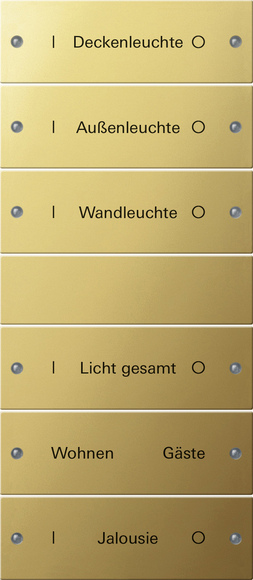 Gira Instabus Комплект клавиш 6 шт., гравировка 2136608