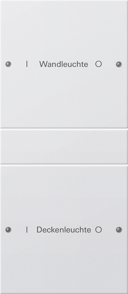 Gira Набор клавиш 2-местный (1+1),  ГРАВИРОВКА 220227