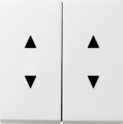 Gira Двойные клавиши с двойными стрелками 1150112