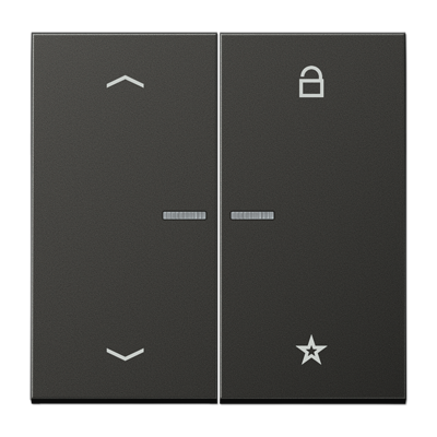 JUNG Центральная плата для вставок управления двигателями, антрацит AL1701PAN