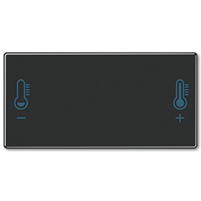 JUNG клавиша с символом температуры A409T