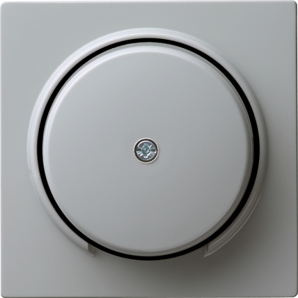 Gira Накладка розетки для подключения средств связи 027442