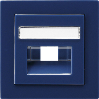 Gira Накладка 50*50 мм для розеток UAE/IAE с полем для надписи 028446