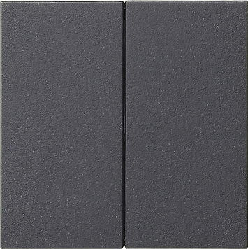 Gira SYSTEM 55 Накладка управления 2-местная System 3000 536228